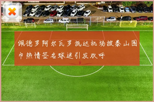 佩德罗阿尔瓦罗抵达机场披泰山围巾热情签名球迷引发欢呼